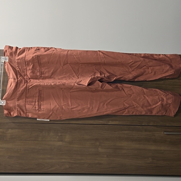 Anthropologie-Cartonniere NWT Belt Front Pants Rose 100% Lyocell-Size 14 - Picture 13 of 16